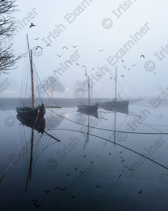 IMG 1031 
 Foggy morning at Claddagh Basin 
Galway, Ireland