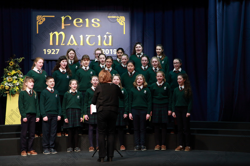 Feis27022019Wed37 
 37~38
Cashel Community School singing “Crocodile” by Peter Jenkins conducted by Helen Colbert.

Class: 83: “The Loreto Perpetual Cup” Secondary School Unison Choirs

Feis Maitiú 93rd Festival held in Fr. Mathew Hall. EEjob 27/02/2019. Picture: Gerard Bonus