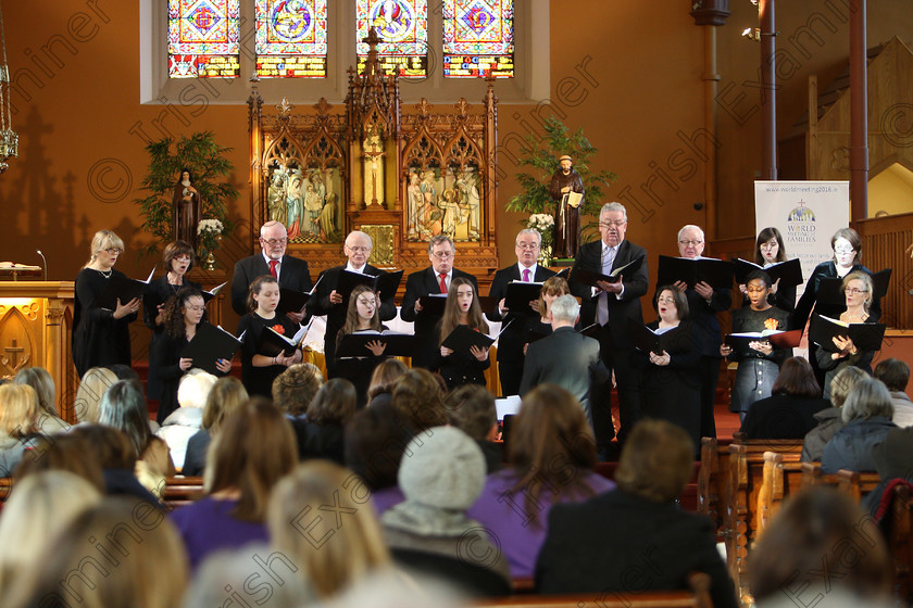 Feis04022018Sun48 
 46~ 48
Castlemartyr Choir conducted by Tomás Ó Tuama 
 Holy Trinity Capuchin Church Adult Choirs Class: 76: “The Wm. Egan Perpetual Cup” Adult Sacred Choral Group or Choir Feis Maitiú 92nd Festival held in Fr. Matthew Hall. EEjob 02/02/2018 Picture: Gerard Bonus.