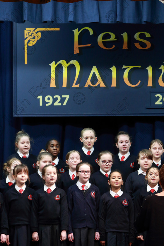 Feis26022020Wed10 
 10~13
St. Vincent’s PS singing I’ll Tell Me Ma When I Go Home.

Class:84: “The Sr. M. Benedicta Memorial Perpetual Cup” Primary School Unison Choirs

Feis20: Feis Maitiú festival held in Father Mathew Hall: EEjob: 26/02/2020: Picture: Ger Bonus.
