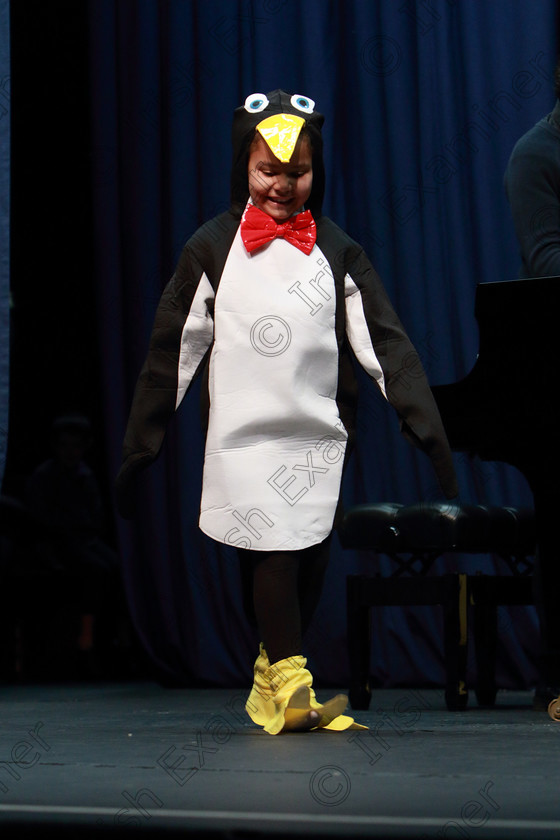 Feis11022020Tues27 
 27
A Bronze Performance: Sophia Considine from Rochestown about to sing The Penguin Dance.

Class: 115: “The Michael O’Callaghan Memorial Perpetual Cup” Solo Action Song 8 Years and Under

Feis20: Feis Maitiú festival held in Father Mathew Hall: EEjob: 11/02/2020: Picture: Ger Bonus.