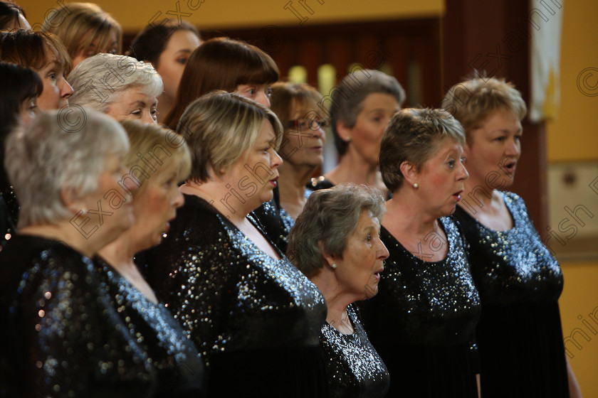 Feis04022018Sun78 
 71~76
The Voices conducted by Mary Pedder Daly 
 Holy Trinity Capuchin Church Adult Choirs Class: 78: “The Lynch Memorial Perpetual Cup” Adult Vocal Choirs Two Contrasting Songs Feis Maitiú 92nd Festival held in Fr. Matthew Hall. EEjob 02/02/2018 Picture: Gerard Bonus.