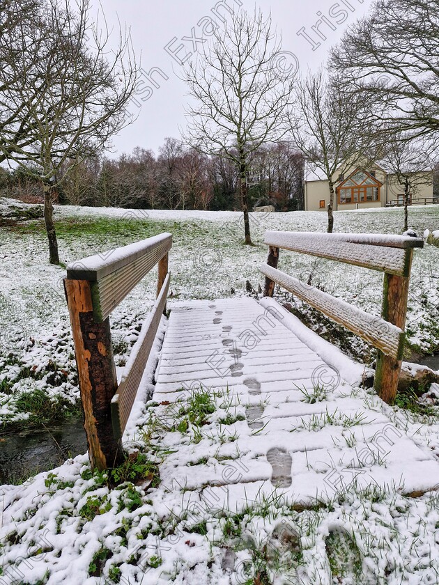 20250105 160250 
 Footprints in the Snow, 
Macroom Co.Cork