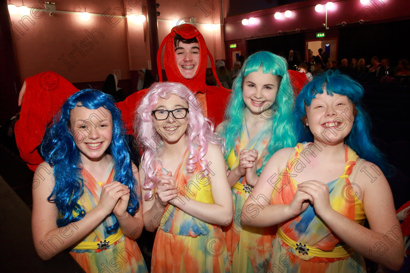 Feis03032019Sun45 
 45
Nessa O’Callaghan, Lily Carney, David Murphy, Chloe Fields and Katie Healy from CADA Performing Arts sang “She’s In Love” from The Little Mermaid in Class 16.

Class: 16: “The Reidy Perpetual Trophy” Ensemble Under 16 Years One Ensemble from any Light Opera or Musical.

Feis Maitiú 93rd Festival held in Fr. Mathew Hall. EEjob 03/03/2019. Picture: Gerard Bonus