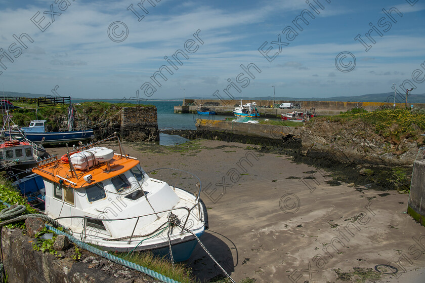 dan-vick-1 
 Ocean Week 2022 Helvick Pier, Co Waterford. Picture Dan Linehan