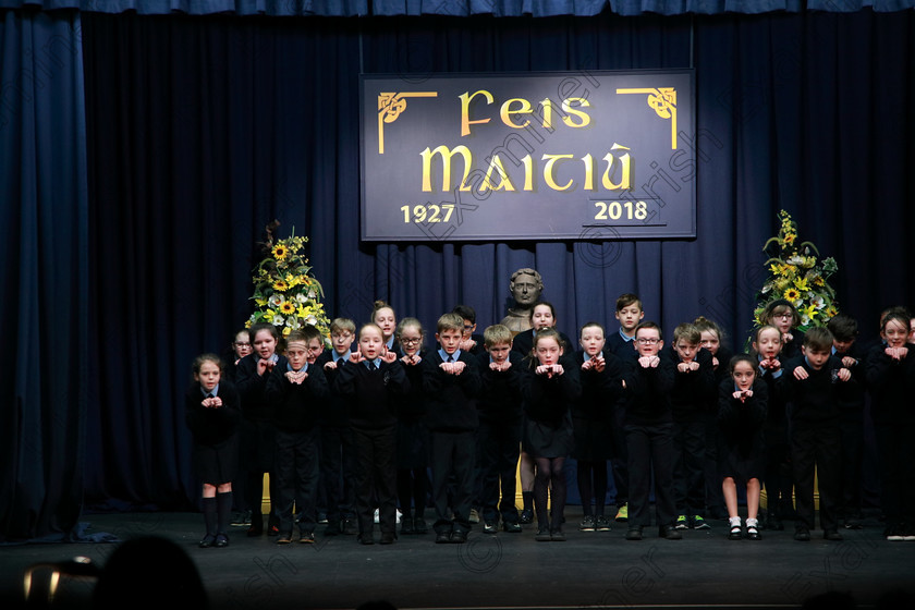 Feis13032018Tue12 
 11~13
Rathpeacon NS.4th Class performing “The Day The Telly Broke Down” as their own choice 
 Speech and Drama Class: 3rd & 4th Class Primary Schools, Action Verse Feis Maitiú 92nd Festival held in Fr. Mathew Hall. EEjob 13/03/2018 Picture: Gerard Bonus.