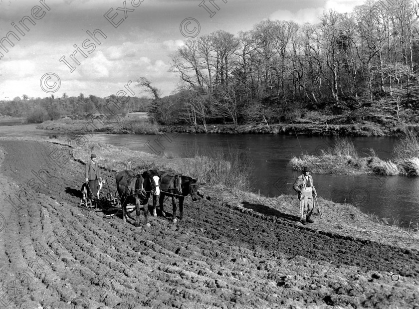 583722 
 Ploughing near Macroom in 1953 Ref. 996D