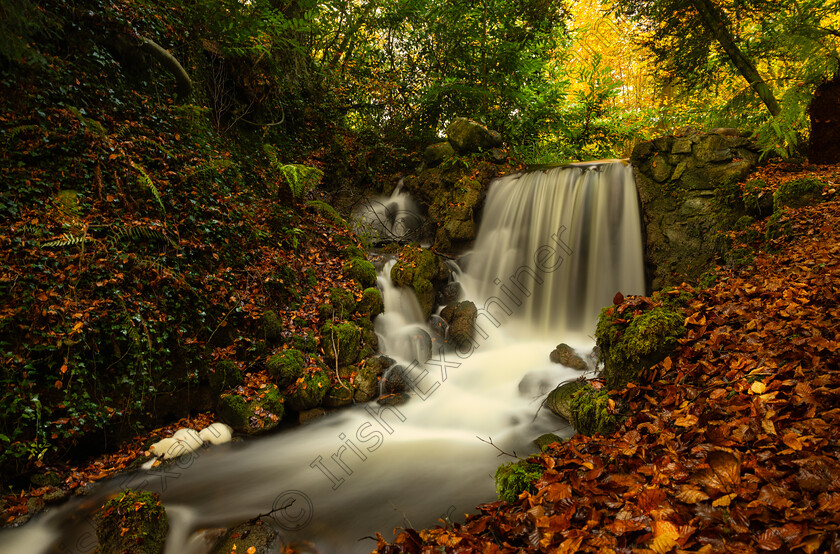 6C2A0052-Edit-2 
 Waterfall in Birr co Offaly ,photo by Helen Maloney