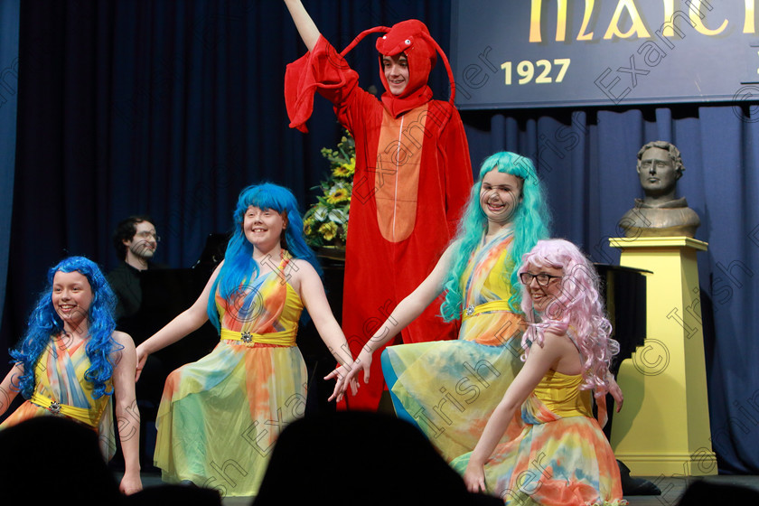 Feis03032019Sun42 
 32~36
CADA Performing Arts singing “She’s In Love” from The Little Mermaid.

Class: 16: “The Reidy Perpetual Trophy” Ensemble Under 16 Years One Ensemble from any Light Opera or Musical.

Feis Maitiú 93rd Festival held in Fr. Mathew Hall. EEjob 03/03/2019. Picture: Gerard Bonus