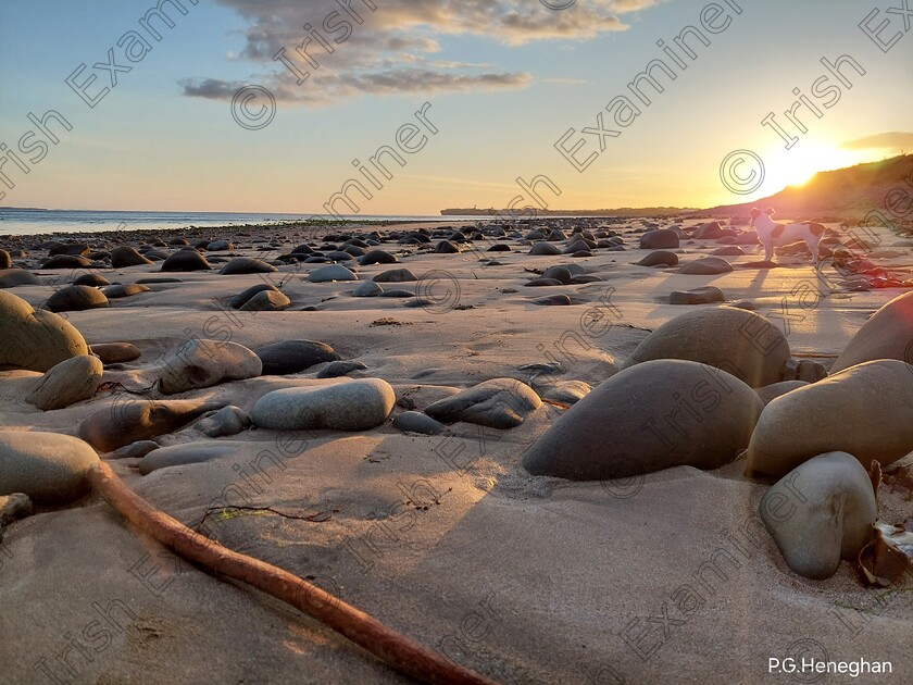 20230912 193708 
 This photo was taken while out on kilmacreehy Beach as the 
Sun was setting over Liscannor Bay our little dog Tiny stopped 
To take in the views 
I am an amateur photographer and just love talking photo's 
Atlantic Sunset View 
Is what I called this image