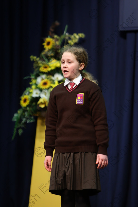 Feis20022018Tue08 
 8
Aoife O’Halloran performing.
 Speech and Drama Class: 364: Girls 11 Years and Under Section 1 Feis Maitiú 92nd Festival held in Fr. Mathew Hall. EEjob 20/02/2018 Picture: Gerard Bonus.