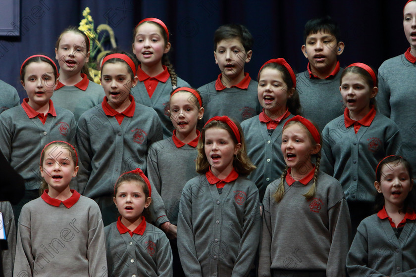 Feis28022019Thu16 
 14~16
St. Luke’s Primary School Douglas singing “Hi-diddle-dee-dee
an actor's life for me”.

Class: 84: “The Sr. M. Benedicta Memorial Perpetual Cup” Primary School Unison Choirs–Section 1Two contrasting unison songs.

Feis Maitiú 93rd Festival held in Fr. Mathew Hall. EEjob 28/02/2019. Picture: Gerard Bonus