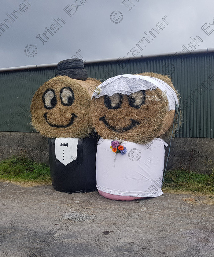 20180824 174526 
 entry for reader photography competition. Or if you would liked to use it in the County or a anywhere else in the paper.
declan@leeroadies.com
picture uploaded by Peter Walsh

Name Declan ODonoghue
Tel 0879570537
Caption 
Sandra and Alan wedding day Allihies 24 August 2018