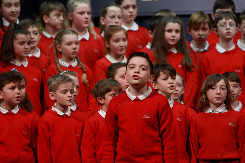 Feis28022019Thu46 
 45~48
Gaelscoil Uí Drisceoil Glanmire singing “Ballue”.

Class: 85: The Soroptimist International (Cork) Perpetual Trophy and Bursary”
Bursary Value €130 Unison or Part Choirs 13 Years and Under Two contrasting folk songs.

Feis Maitiú 93rd Festival held in Fr. Mathew Hall. EEjob 28/02/2019. Picture: Gerard Bonus