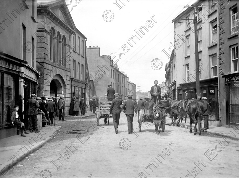 811831 
 Fair day in Skibbereen, Co. Cork in August 1937 Ref. 355B Old black and white west cork farming donkeys