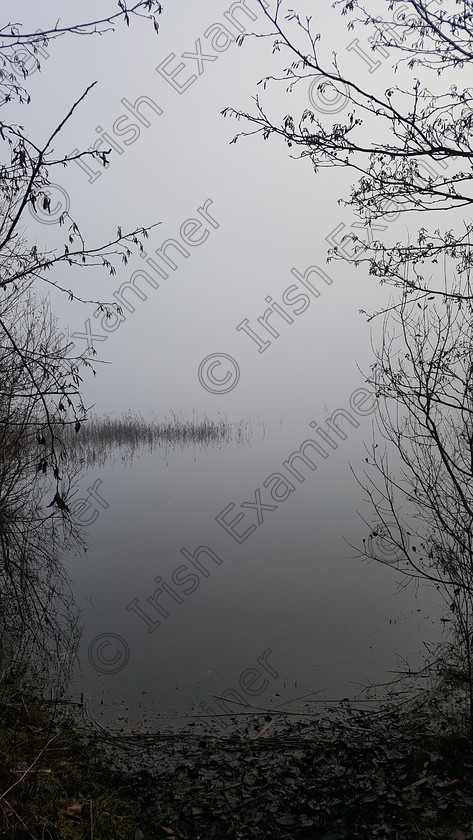 20201207 134354 
 Fog over a still Lough Meelagh, Co Roscommon in early December. Picture: Karla Doran