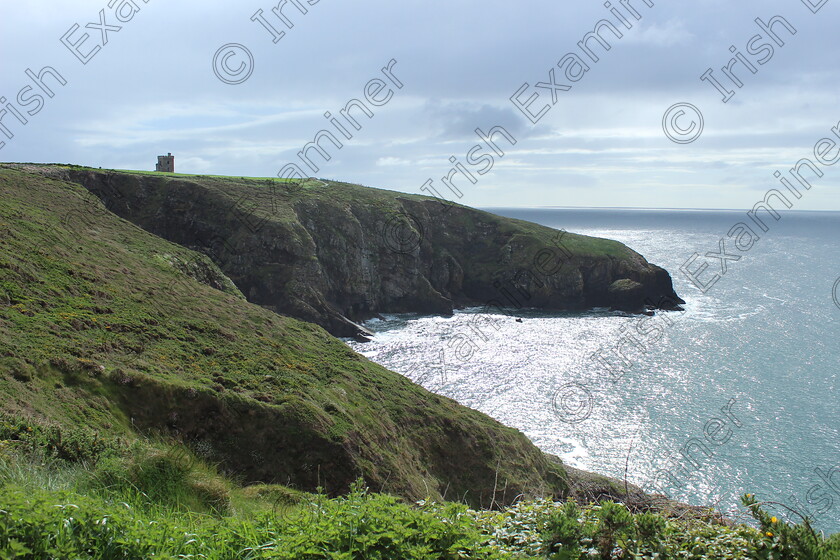IMG 2630 
 Cliff walk along St Declan's Way, Ardmore, Co Waterford, May2023.
Photo: Dave Valentine, Conna.