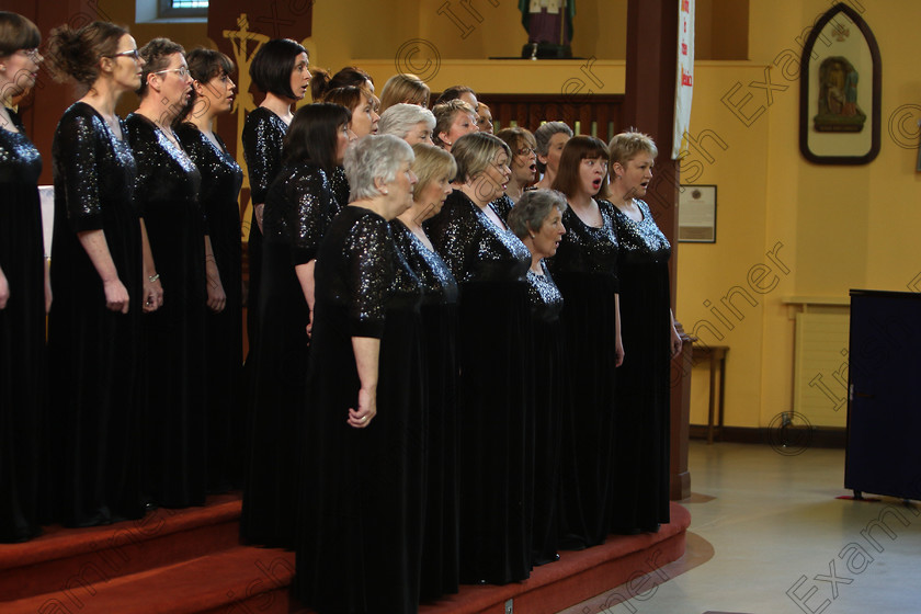 Feis04022018Sun79 
 71~76
The Voices conducted by Mary Pedder Daly 
 Holy Trinity Capuchin Church Adult Choirs Class: 78: “The Lynch Memorial Perpetual Cup” Adult Vocal Choirs Two Contrasting Songs Feis Maitiú 92nd Festival held in Fr. Matthew Hall. EEjob 02/02/2018 Picture: Gerard Bonus.