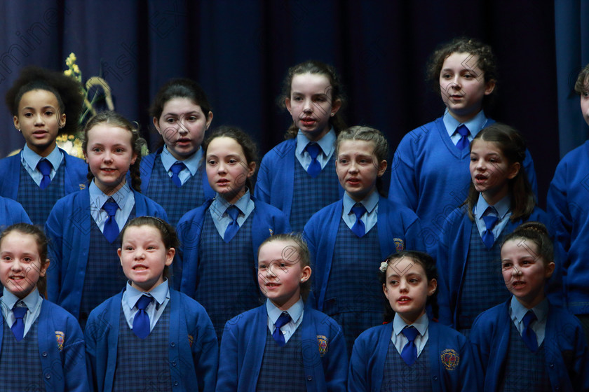 Feis28022019Thu13 
 10~13
Bunscoil Bhóthar na Naomh Lismore singing “The Bird’s Lament”.

Class: 84: “The Sr. M. Benedicta Memorial Perpetual Cup” Primary School Unison Choirs–Section 1Two contrasting unison songs.

Feis Maitiú 93rd Festival held in Fr. Mathew Hall. EEjob 28/02/2019. Picture: Gerard Bonus
