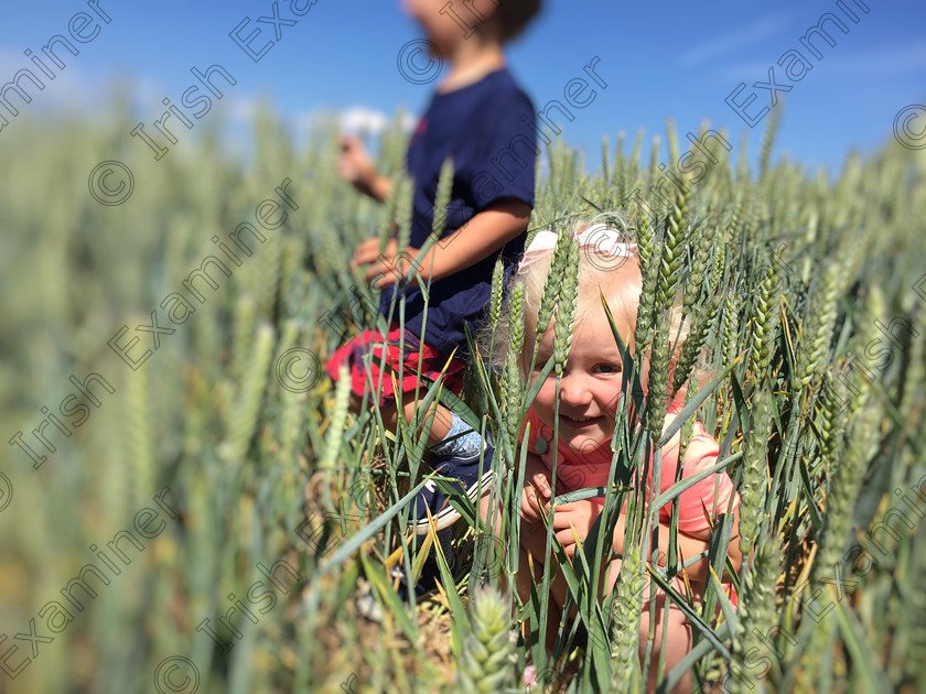 E6C9B244-B7C3-411E-9D33-D5F12854A7FD 
 April Prestage enjoying the sun in her uncle’s wheat field on their farm in Avoca, Co. Wicklow while her cousin Xander Crammond plays behind her