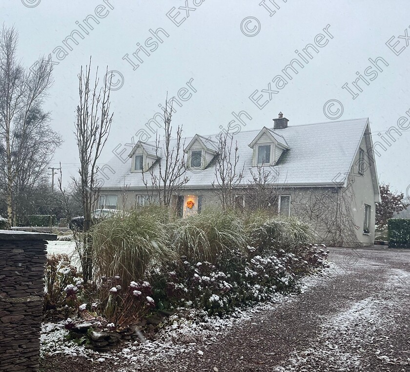 871505ce-06a5-4906-ac66-12a45e6ac411 (1) 
 Christmas comes early in Carrigrohane. Picture: Mary Harrington