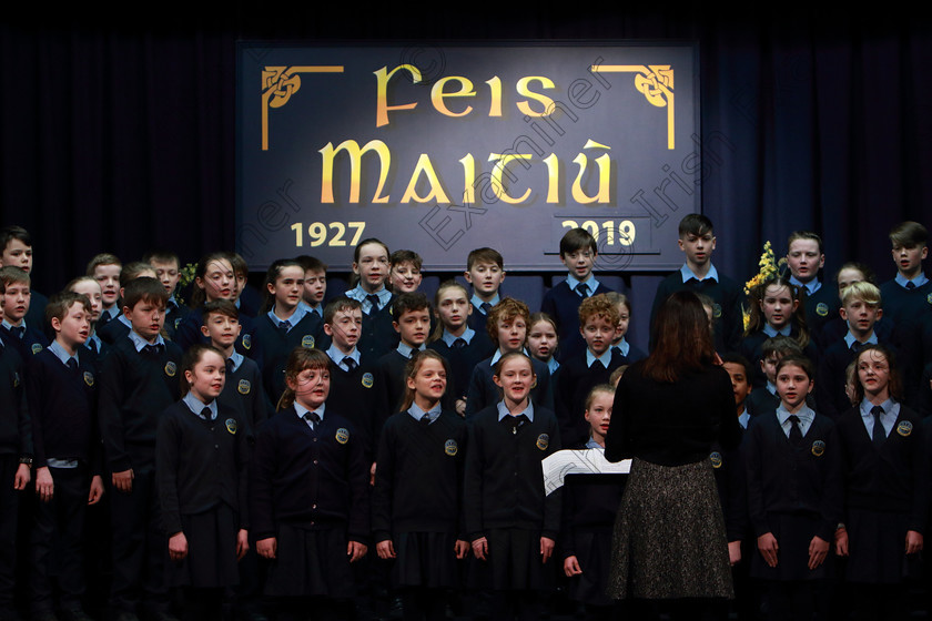 Feis28022019Thu20 
 17~21
Scoil Naomh Fionán. Rennies singing “Mama Mia”.

Class: 84: “The Sr. M. Benedicta Memorial Perpetual Cup” Primary School Unison Choirs–Section 1Two contrasting unison songs.

Feis Maitiú 93rd Festival held in Fr. Mathew Hall. EEjob 28/02/2019. Picture: Gerard Bonus