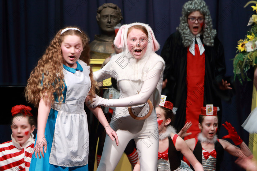 Feis12022019Tue48 
 48
CADA Performing Arts with Faye Gibson as Alice and Sophie Nolan as The Rabbet and performing Alice in the underworld.

Class: 102: “The Juvenile Perpetual Cup” Group Action Songs 13 Years and Under A programme not to exceed 10minutes.

Feis Maitiú 93rd Festival held in Fr. Mathew Hall. EEjob 12/02/2019. Picture: Gerard Bonus