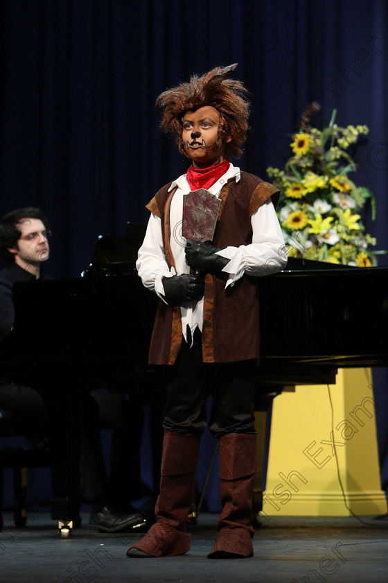 Feis06032018Tue30 
 30
Rian Lynch giving a Bronze Medal performance of “If I Can’t Love Her” from Beauty and The Beast with Accompanist, Tom Doyle.
 Singing and School Choirs Class: 24: “The David O’Brien and Frances Reilly Perpetual Trophy” Musical Theatre 16 Years and Under Section 1 Feis Maitiú 92nd Festival held in Fr. Mathew Hall. EEjob 06/03/2018 Picture: Gerard Bonus.