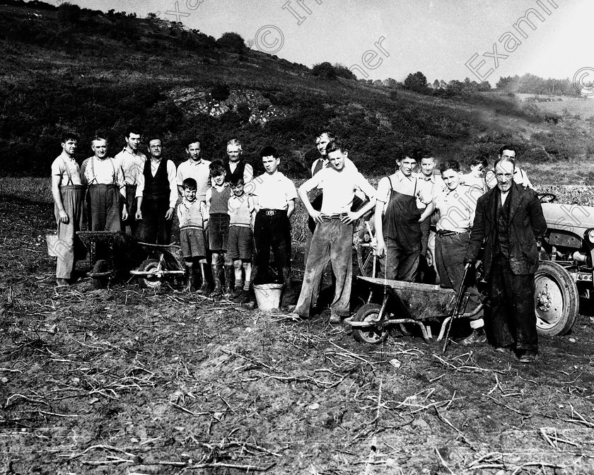 rememberwhenp106 
 Remember When
Pictures from the Irish Examiner archive
Page 106
 POTATO DIGGING ON THE FARM OF P. BUCKLEY, FERGUS, DRIPSEY, CO. CORK 16/10/1956 - REF. 169J

DOWN MEMORY LANE - BLACK AND WHITE 
 Keywords: Remember when then Irish Examiner book Cork Examiner