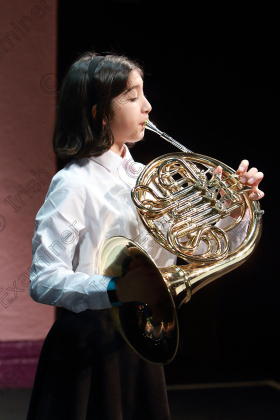 Feis13022019Wed12 
 12
Róisín Martin playing “Ragtime Horn” on the French Horn.

Class: 205: Brass Solo 12Years and Under Programme not to exceed 5 minutes.

Class: 205: Brass Solo 12Years and Under Programme not to exceed 5 minutes.