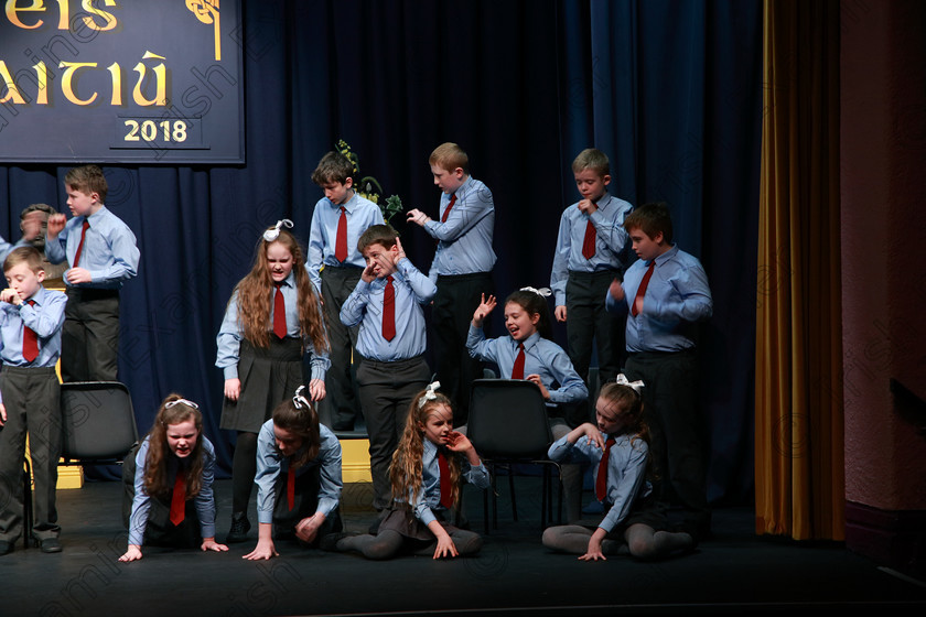 Feis21022018Wed22(1) 
 21~25
Ovens NS 5th Class performing “Miller’s End” as their own choice.
 Speech and Drama Classes: 485: Action Verse “The O’Brien Perpetual Cup”5th Class and Class: 484: “The Sri Lanka Festival Perpetual Trophy” 6th Class, Feis Maitiú 92nd Festival held in Fr. Mathew Hall. EEjob 21/02/2018 Picture: Gerard Bonus.