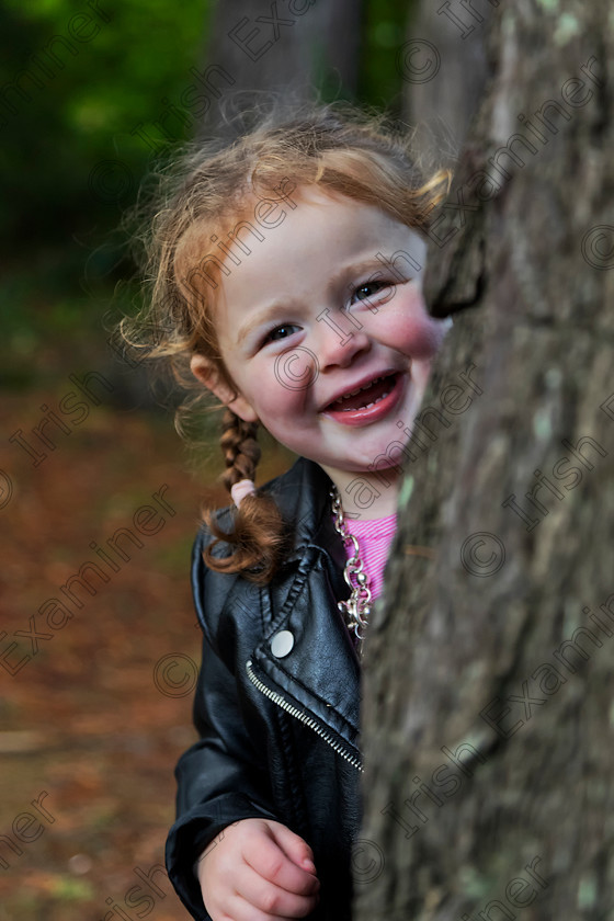 mia behind a tree 
 A trip with the family and relations to powerscourt gardens a week ago and our little Mia was playing hide and seek and I managed to catch a photo of her playing hide and seek behind a tree she is 2 & 1/2 years old. Photo by Stephen Walsh