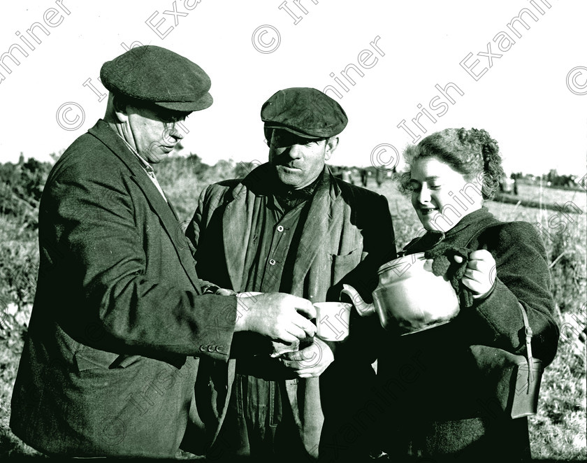 -1257667389 
 MISS SUSAN KINGSTON POURING OUT A WELCOME CUP OF TEA TO JERRY HORGAN AT CAHERMORE PLOUGHING MATCH - ALSO IN PIC DENIS BRENNAN - 17/01/57 - REF. 314J OLD CORK OLD FARMING BLACK AND WHITE PICS 00 CUP OF TEA CUPS OF TEA TEAPOT 00 NATIONAL PLOUGHING 00 
 Keywords: PUBDATE_??_??_8_2000_03_16