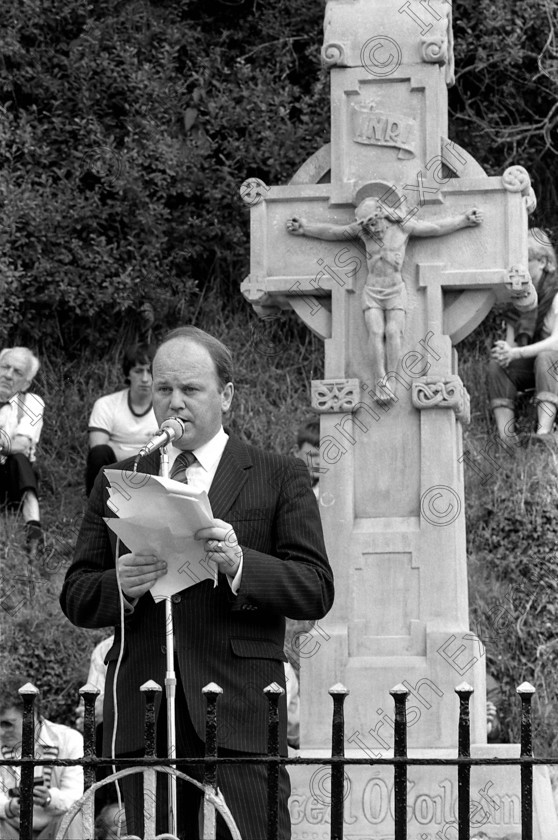 1383682 
 Beal Na Blath Commemoration, August 26th 1984. Ref 294/55B. neg no.22.