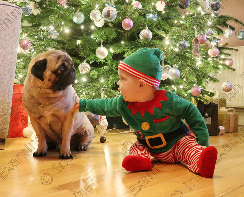 20181207 212803 
 This photo was taken this year. The photo was originally supposed to be of my son only but the dog came in and sat beside him. My son noticed him and reached for the dog. That's when I got this picture of them sharing a moment. Picture: James Rambaud.