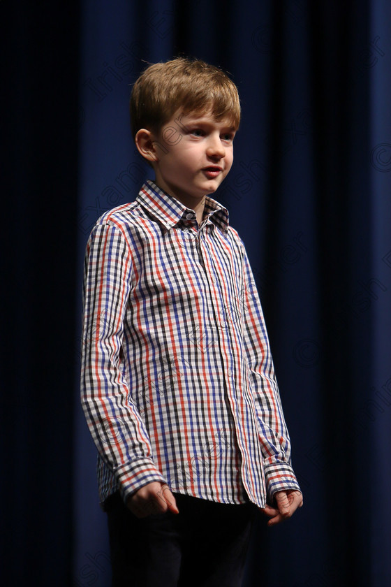 Feis11032018Sun33 
 33
Matthew Cremin reciting his poem