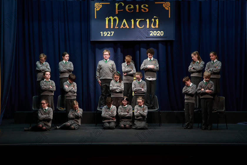 Feis10032020Tues36 
 31~36
Gaelscoil An Teaghlaigh Naofa performing My Puppy Is A Handfull.

Class:476: “The Peg O’Mahony Memorial Perpetual Cup” Choral Speaking 4thClass

Feis20: Feis Maitiú festival held in Father Mathew Hall: EEjob: 10/03/2020: Picture: Ger Bonus.