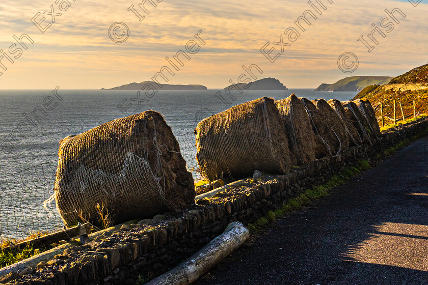 Slea Head west of Dingle Co Kerry, looking out on the Blasket Islands-1058 
 Slea Head Dingle Co Kerry looking out at the Blasket Islands.Photo by: Noel O Neill 
 Keywords: Blaskets, Calender, Clasach, Hay winds, IFA, bales