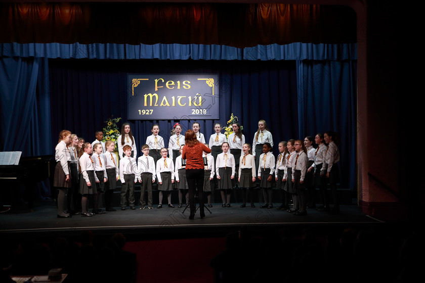 Feis28022019Thu07 
 7~9
Castlemartyr Children’s Choir singing “Shortnin’ Bread”.

Class: 84: “The Sr. M. Benedicta Memorial Perpetual Cup” Primary School Unison Choirs–Section 1Two contrasting unison songs.

Feis Maitiú 93rd Festival held in Fr. Mathew Hall. EEjob 28/02/2019. Picture: Gerard Bonus