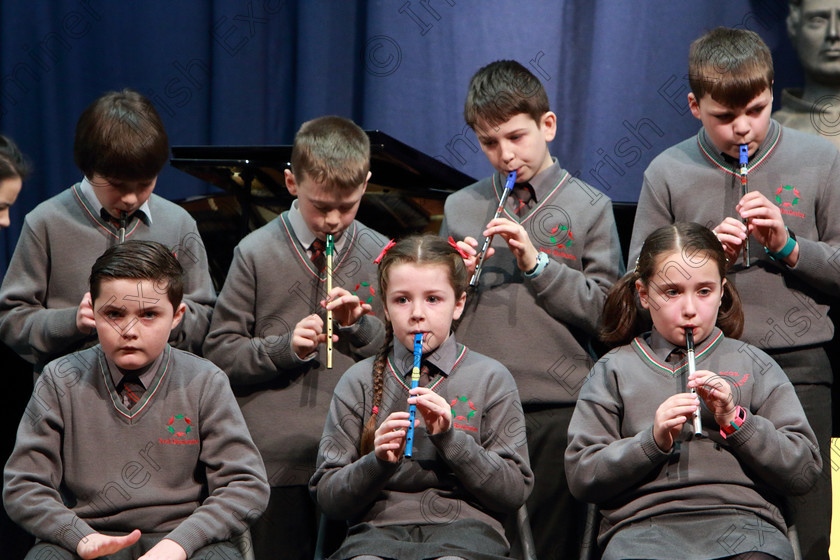 Feis28022020Fri25 
 23~25
Ballinora NS performing The Dawning of The Day.

Class:284: “The Father Mathew Street Perpetual Trophy” Primary School Bands –Mixed Instruments

Feis20: Feis Maitiú festival held in Father Mathew Hall: EEjob: 28/02/2020: Picture: Ger Bonus.