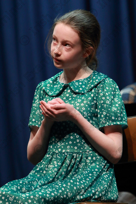 Feis12022020Wed50 
 50
Aoife Fanning from Carrigrohane performing her piece.

Class:113: “The Edna McBirney Memorial Perpetual Award” Solo Action Song 12 Years and Under

Feis20: Feis Maitiú festival held in Father Mathew Hall: EEjob: 11/02/2020: Picture: Ger Bonus.
