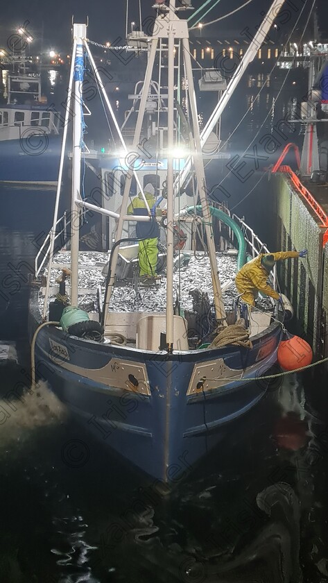 20240207 181437 
 Out for a walk and saw , this boat full of herring, in killybegs co donegal