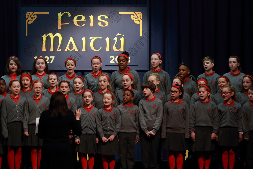 Feis12042018Thu15 
 12~16
St. Luke’s Primary School singing “Someday” and “Railway Carriage”.
 Singing Class: 84: “The Sr. M. Benedicta Memorial Perpetual Cup” Primary School Unison Choirs Section 1 Feis Maitiú 92nd Festival held in Fr. Mathew Hall. EEjob 28/03/2018 Picture: Gerard Bonus