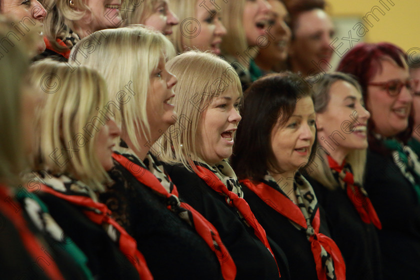 Feis0302109Sun78 
 78~83
The Sonatinas singing “Eternity”.

Class: 78: “The Lynch Memorial Perpetual Cup” Adult Vocal Choirs Two Contrasting Songs.

Feis Maitiú 93rd Festival held in Fr. Matthew Hall. EEjob 03/02/2019. Picture: Gerard Bonus.