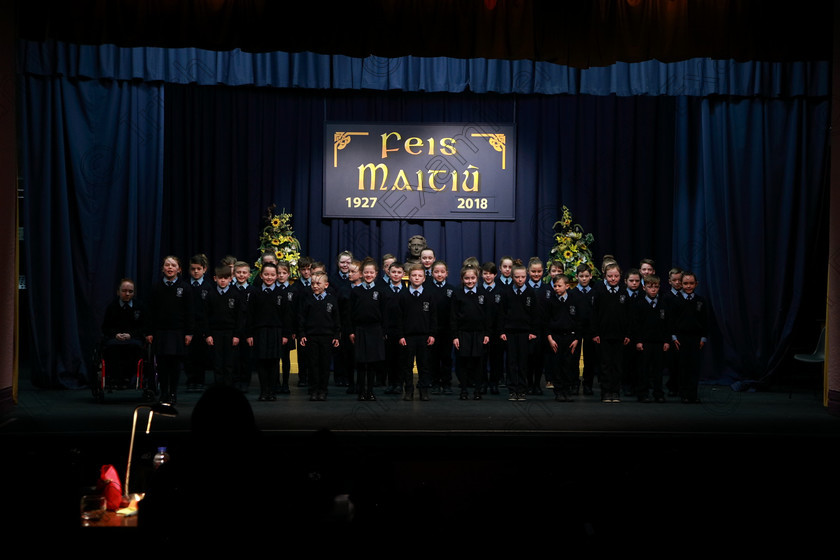 Feis13032018Tue25 
 25~26
Rathpeacon NS.3rd Class performing “Daddy Fell into the Pond” as their own choice. 
 Speech and Drama Class: 3rd & 4th Class Primary Schools, Action Verse Feis Maitiú 92nd Festival held in Fr. Mathew Hall. EEjob 13/03/2018 Picture: Gerard Bonus.