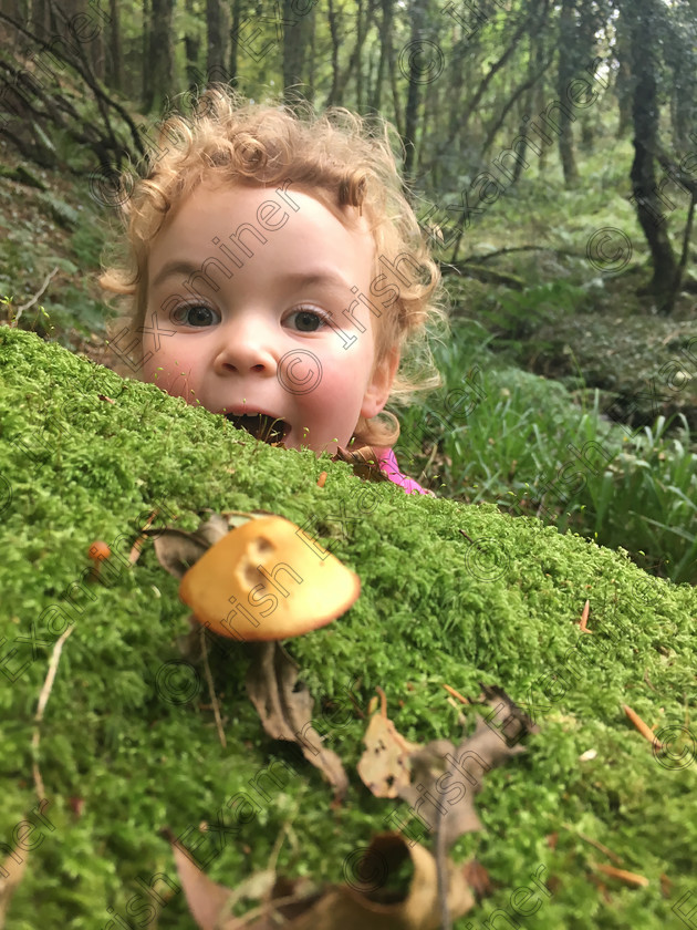 Charlotte Allen 
 "'One side will make you grow taller, and the other side will make you grow shorter.'
Charlotte Allen, Age 3 & 3/4 :). Enjoying the wonders of Curragh Woods Midleton, Co. Cork. Picture Wayne Allen