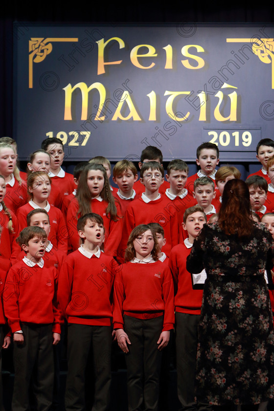 Feis28022019Thu48 
 45~48
Gaelscoil Uí Drisceoil Glanmire singing “Ballue”.

Class: 85: The Soroptimist International (Cork) Perpetual Trophy and Bursary”
Bursary Value €130 Unison or Part Choirs 13 Years and Under Two contrasting folk songs.

Feis Maitiú 93rd Festival held in Fr. Mathew Hall. EEjob 28/02/2019. Picture: Gerard Bonus