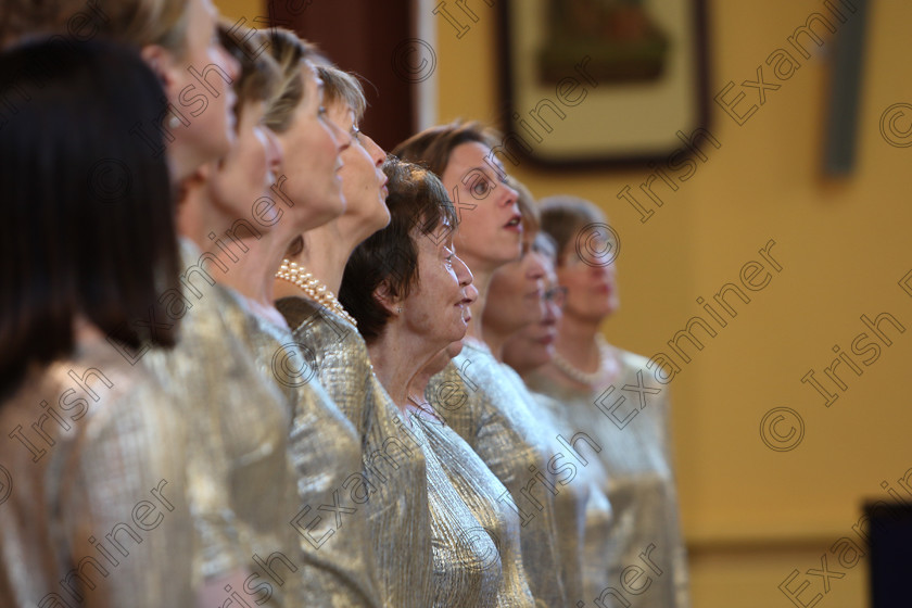 Feis04022018Sun33 
 33~38
Cor Mhagh Ealla conducted by John Casey 
 Holy Trinity Capuchin Church Adult Choirs Class: 76: “The Wm. Egan Perpetual Cup” Adult Sacred Choral Group or Choir Feis Maitiú 92nd Festival held in Fr. Matthew Hall. EEjob 02/02/2018 Picture: Gerard Bonus.