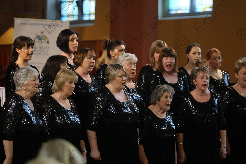 Feis04022018Sun76 
 71~76
The Voices conducted by Mary Pedder Daly 
 Holy Trinity Capuchin Church Adult Choirs Class: 78: “The Lynch Memorial Perpetual Cup” Adult Vocal Choirs Two Contrasting Songs Feis Maitiú 92nd Festival held in Fr. Matthew Hall. EEjob 02/02/2018 Picture: Gerard Bonus.