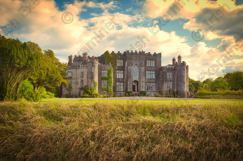 DSC03618 
 Birr Castle in Offaly,those autum/winter colours looking crisp.